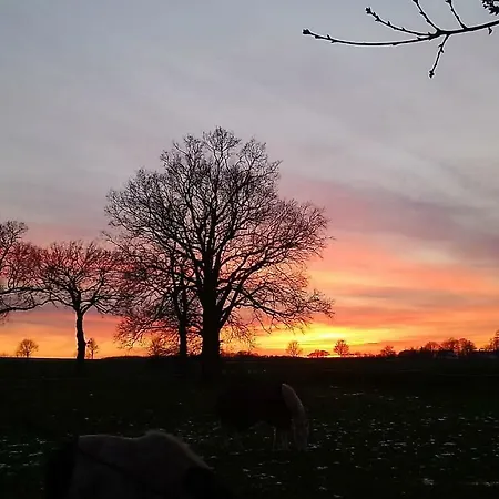 Prázdninový dům Allemande Bad Bentheim